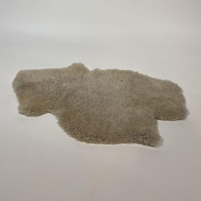 Hovedbilde Saueskinn